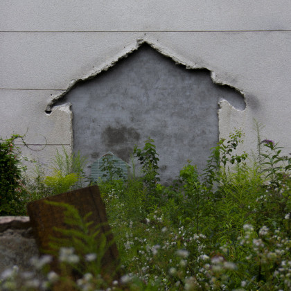 YNGFirefly – Brezno