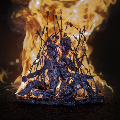 Oygn: Oygn III. – Požigalec živih mej