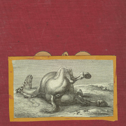 Shearling: Motherfucker, I am Both: "Amen" and "Hallelujah"...