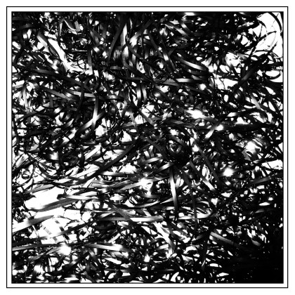 clipping.: Midcity