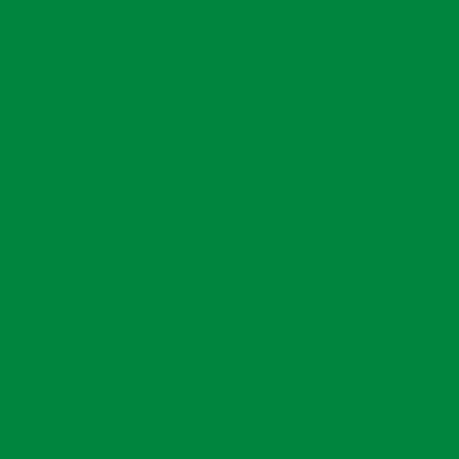 Anima Afra 020