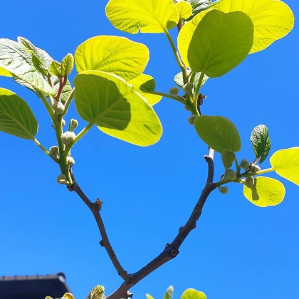 osebni arhiv