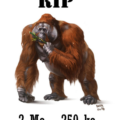 MONKE