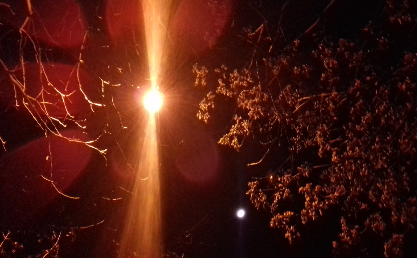 Seznam skladb za 19. 5. 2024, 14.00–18.00 (Nina Zajc)