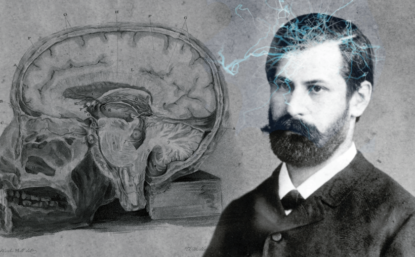 Na levi sagitalni presek možganov, na desni mladi Freud z elektriko na glavi