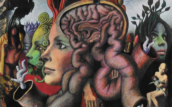 Brainticket: Psychonaut