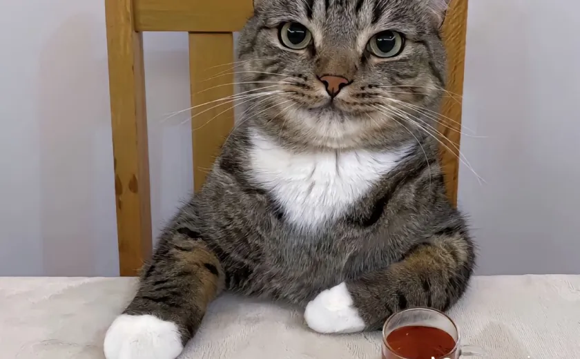 Seznam skladb za 15. 10. 2024, 15.00–19.00