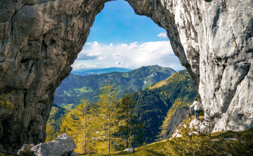 Bakalina Velika – Arlica