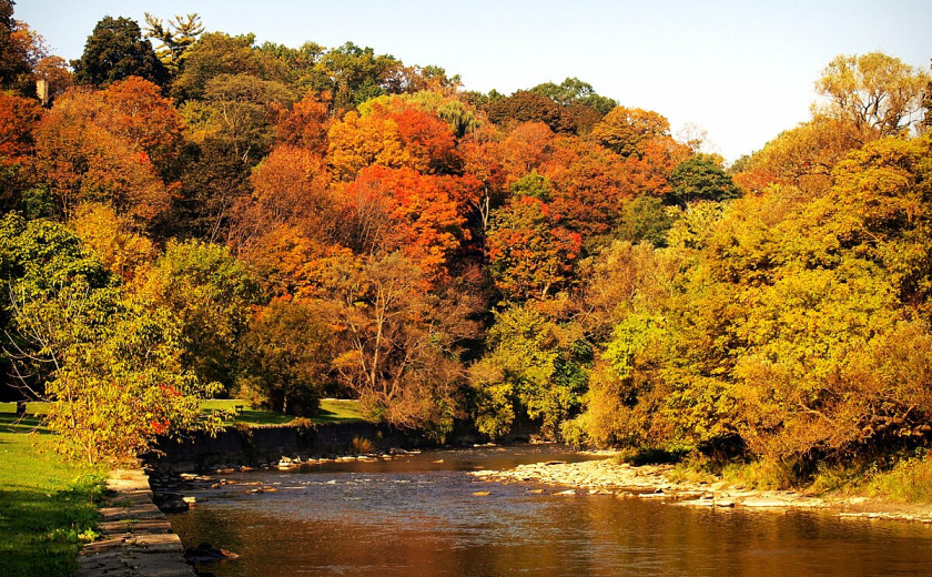 neko jesensko tihožitje brez mrtvih živali
