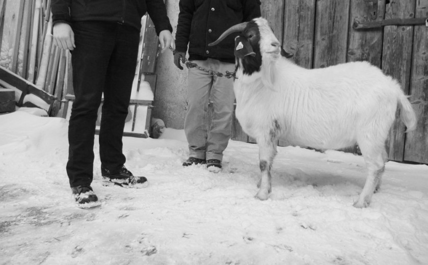 Klubski maraton 2012: The Kojn v živo na Radiu Študent