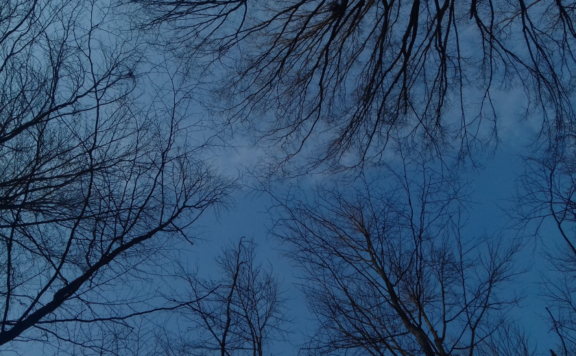 Seznam skladb za 2. 11. 2023, 7.00–11.00 (Nina Zajc)